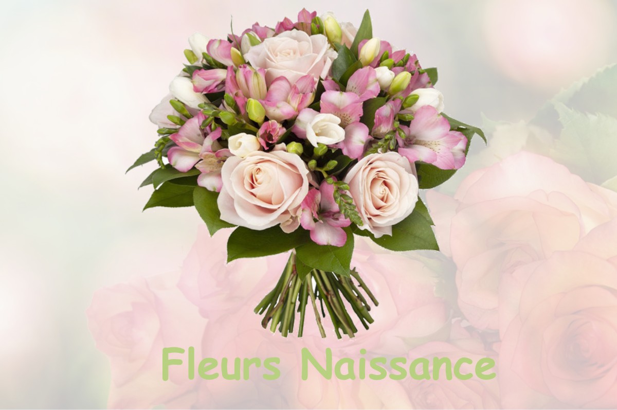 fleurs naissance SOLLIES-VILLE