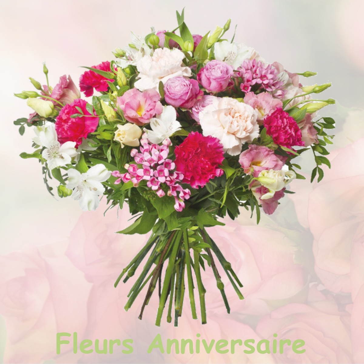 fleurs anniversaire SOLLIES-VILLE