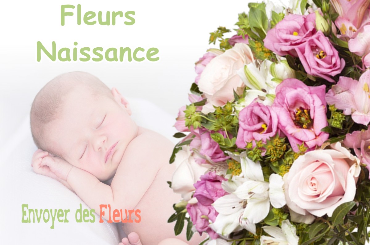 lIVRAISON FLEURS NAISSANCE à SOLLIES-VILLE